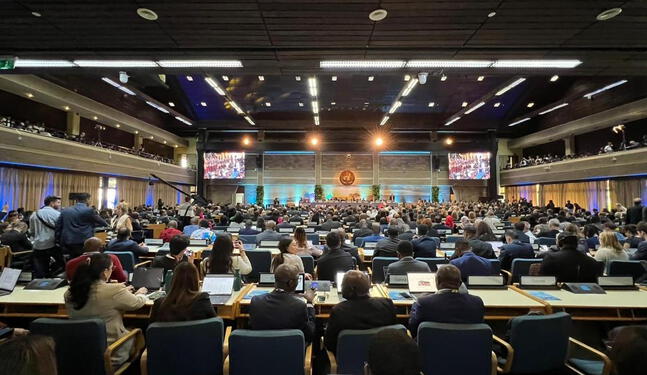 ONU se reúne por los desafíos ambientales del mundo