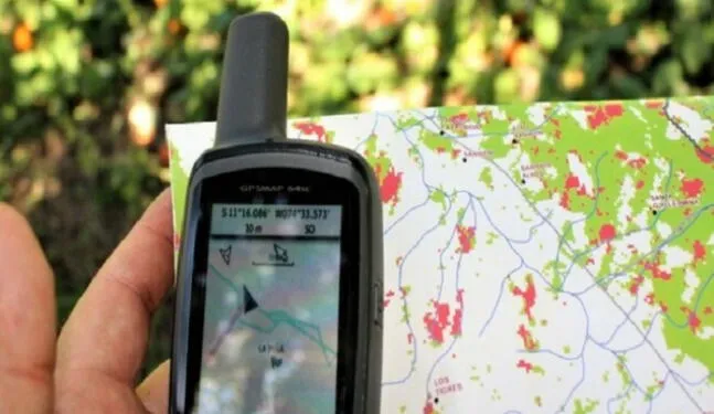 Regiones fortalecen monitoreo satelital para proteger los bosques
