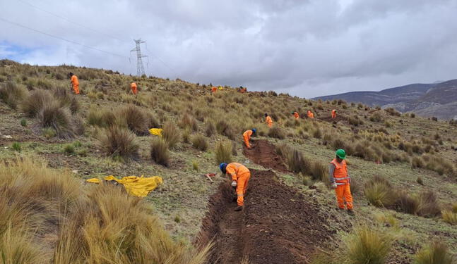 Junín: Proyecto recuperará de suelos contaminados por minería