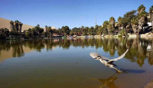 Autoridades descartan sequía en laguna Huacachina