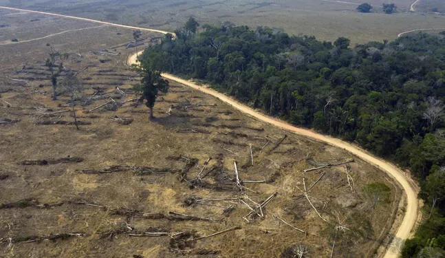 Madre de Dios impulsa proyecto para reducir la deforestación