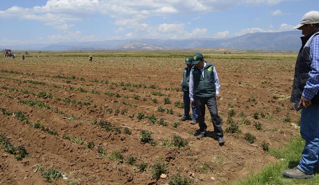 Detectan alta vulnerabilidad a sequías en la sierra y selva