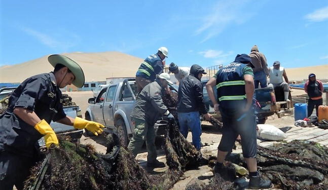 Justicia protege a reservas naturales de la pesca industrial