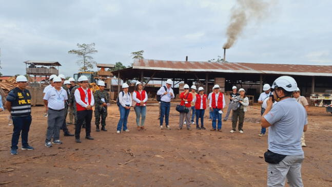 Comisión Multisectorial lucha contra tala ilegal en Ucayali