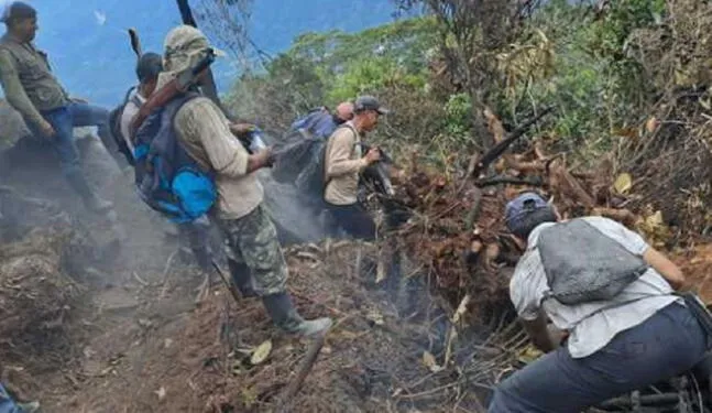 Cordillera Escalera es afectada por construcción de trocha carrozable