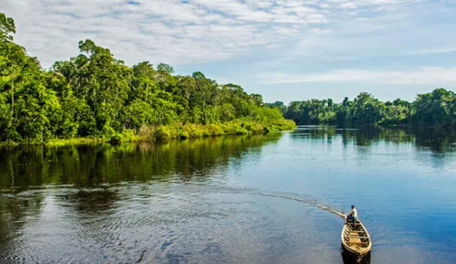 Áreas naturales protegidas registran conservación superior al 95%