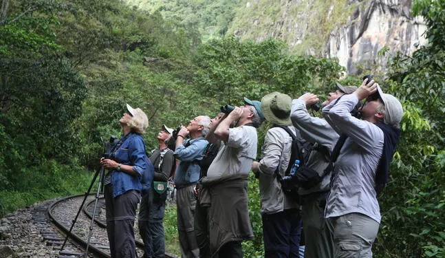 Perú se destaca como destino mundial de observación de aves