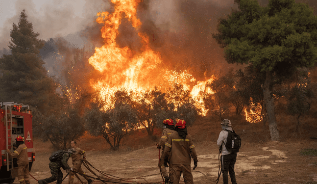 Incendios forestales del mundo fueron extremos por cambio climático