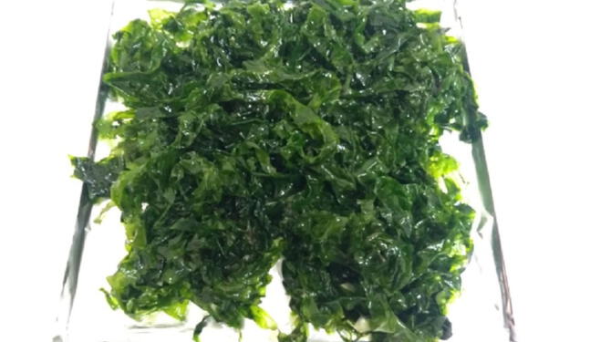 Investigadores peruanos desarrollan bioplástico con algas verdes