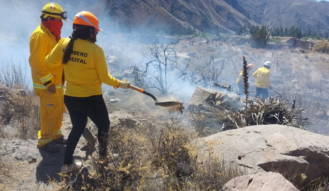 Ciudadanos son capacitados para enfrentar los incendios forestales