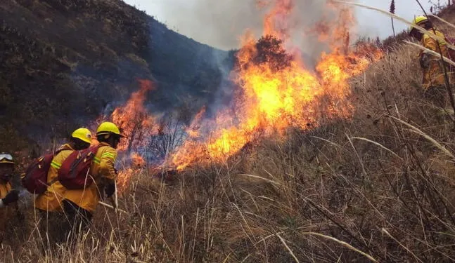 Sube a 15 la cifra de fallecidos por incendios forestales
