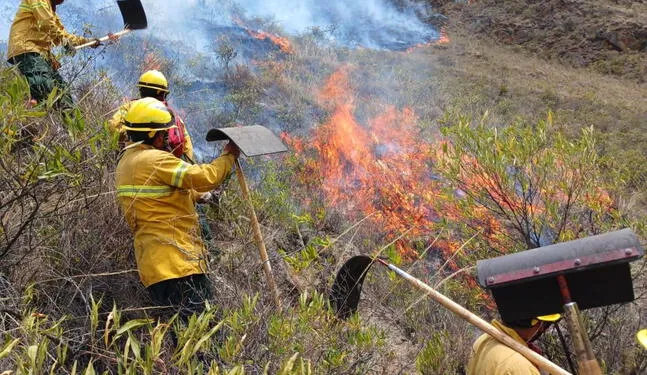 Declaran emergencia en tres regiones por incendios forestales
