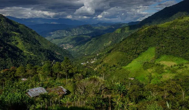 Disponen creación de corredor de conservación Andes del Norte