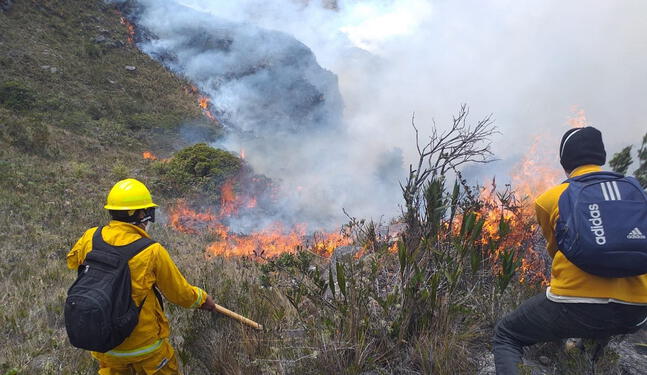 Una veintena de incendios forestales siguen activos en el Perú