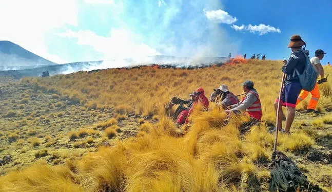 Abren proceso sancionador a poblador que causó incendio forestal