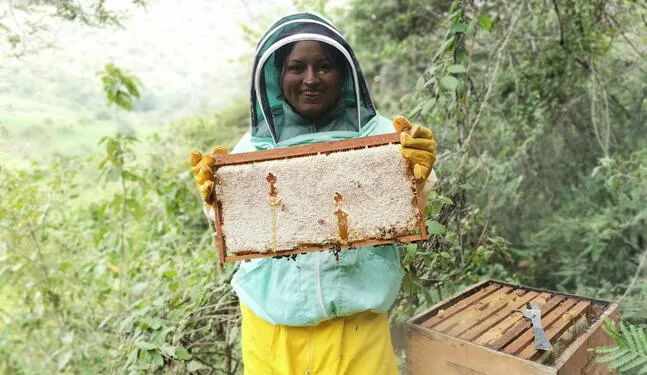 “Guardiana de las abejas” peruana gana premio Midori de Conservación