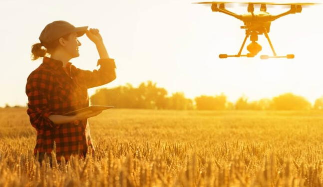 Investigadores peruanos buscan mejorar producción agrícola con IA