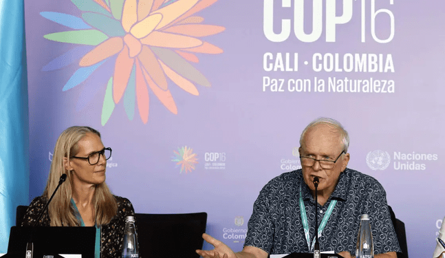 COP16: Combustibles fósiles y minería amenazan ecosistemas del mundo