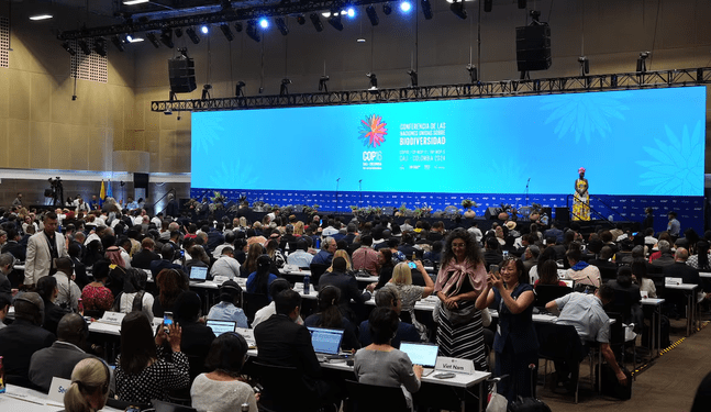 COP16: Justicia ambiental y derechos humanos fueron centro del debate