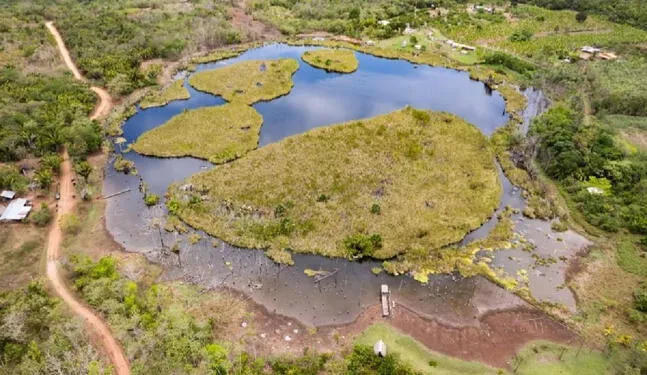 Lagunas Andiviela y Totorillayco son sometidas a proceso de conservación