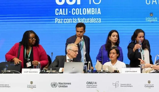 Comienzan las reuniones de "alto nivel" en la COP16