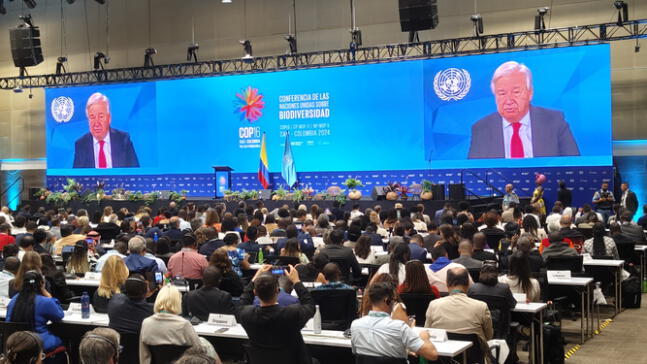 António Guterres pide “preservar" biodiversidad con más compromisos
