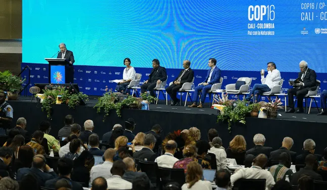 Secretario general de la ONU muestra esperanzas sobre acuerdos de COP16