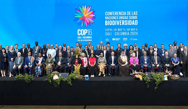 COP16 termina sin acuerdo económico para salvar la naturaleza