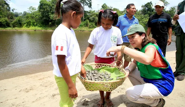Más de 6 mil taricayas son liberadas en Parque Sierra del Divisor