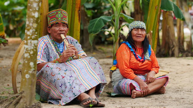 COP 29: Saberes indígenas peruanos combaten crisis climática
