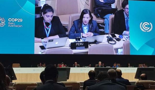 COP29: Perú sustentará medidas de mitigación ante cambio climático