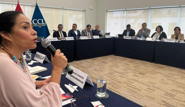 Mancomunidad Amazónica solicita plan estratégico de desarrollo