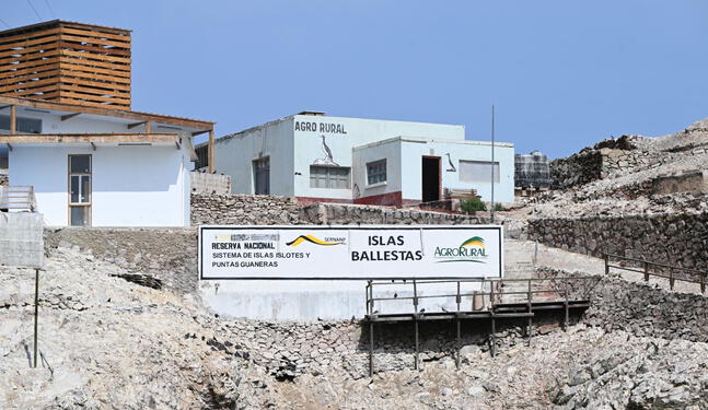 Reforzarán protección ambiental en Islas Ballestas