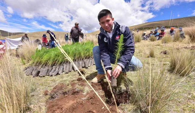 Comunidades acceden a incentivos forestales por S/ 4.2 millones