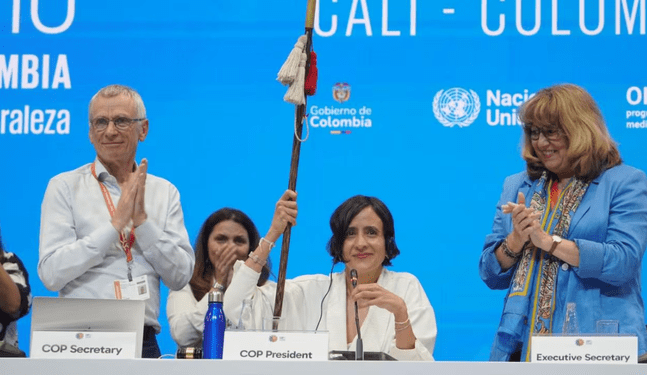 Roma será sede de la próxima COP16 de biodiversidad