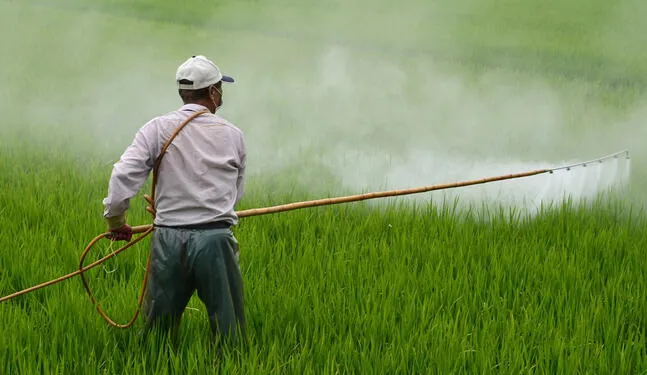 Contaminación por agrotóxicos aumenta diez veces en Brasil
