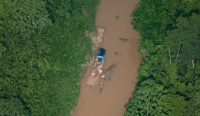 Ucayali sufre mayor deforestación y aumento de minería ilegal