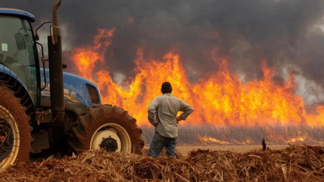 América fue un inferno por incendios forestales en el 2024
