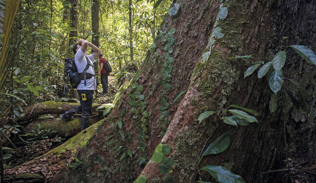 Ecuador refinancia deuda a cambio de conservar la Amazonía