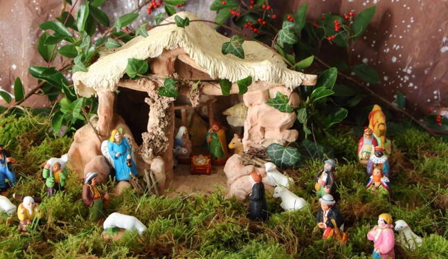 Musgo enfrenta riesgo de degradación durante la Navidad