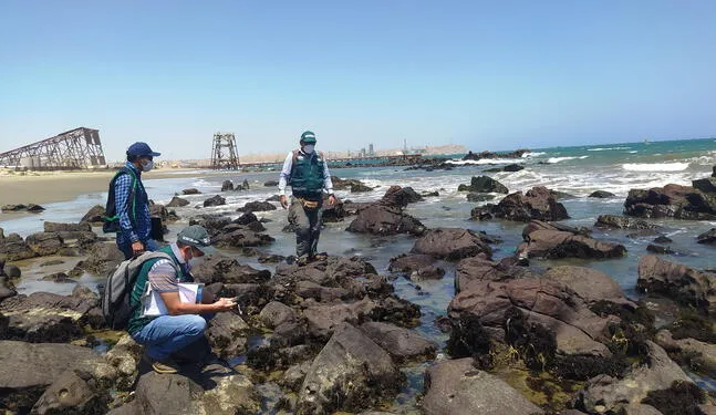 Perú: Derrame de crudo afecta cuatro playas en Talara