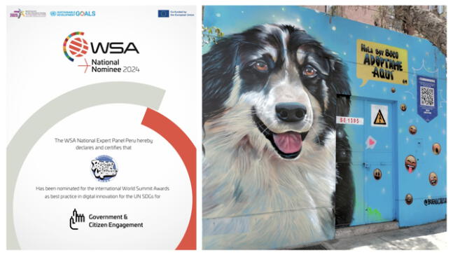 ONU premia a organización Buena Causa por impulsar adopción de mascotas