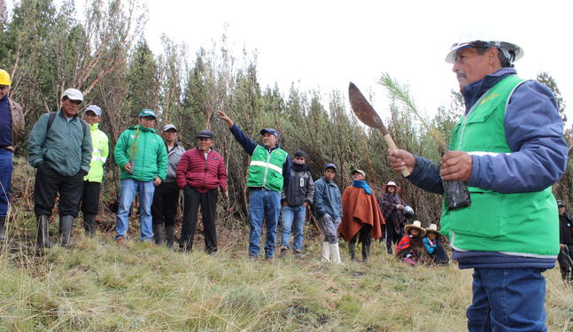Gobiernos regionales reciben asistencia para ordenamiento forestal