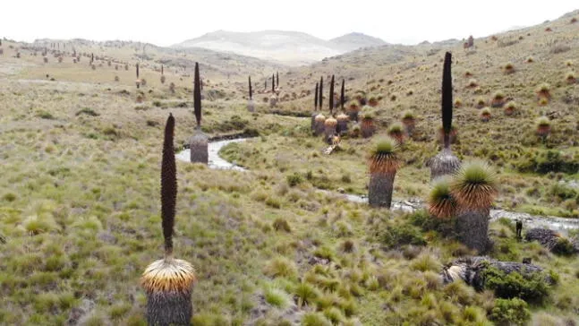 Santuario Nacional Calipuy celebra 44 años de creación