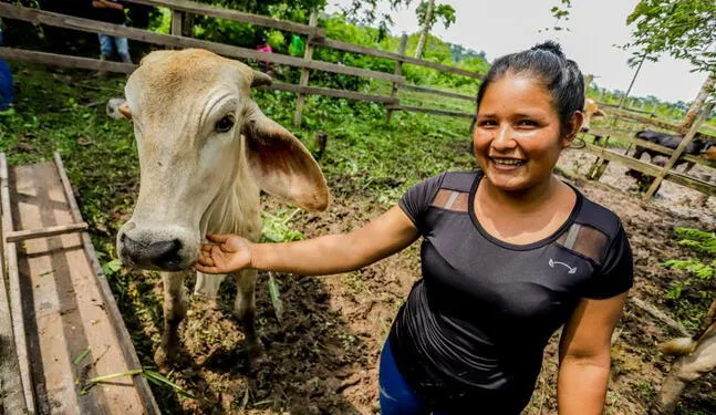 Huánuco: Proyecto busca fortalecer cadena de valor ganadera