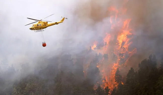Argentina: Fuego arrasa con 3.000 hectáreas de Parque Nahuel Huapi