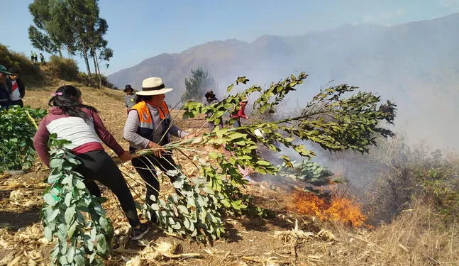 Pasco prohíbe quema de pastos y bosques para evitar incendios forestales