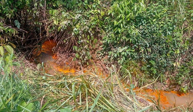 OEFA confirma derrame de aceite de palma en Ucayali