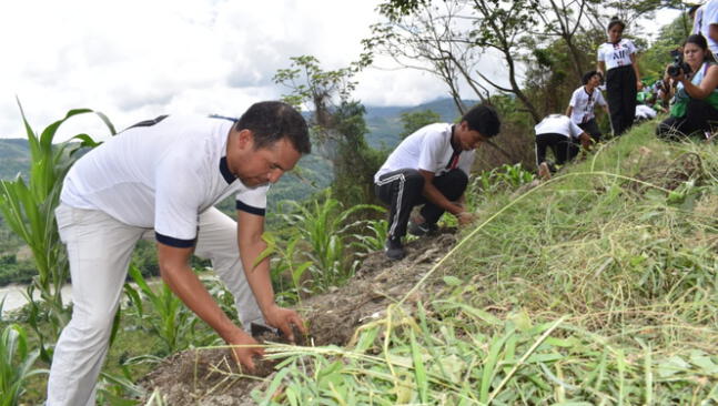 San Martín invertirá S/ 7 millones para reforestar suelos degradados