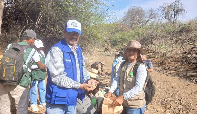 Donan 253,000 semillas para reforestar bosques de Sullana y Piura